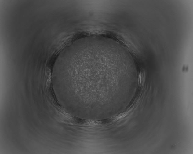 X0000089951251200707131508