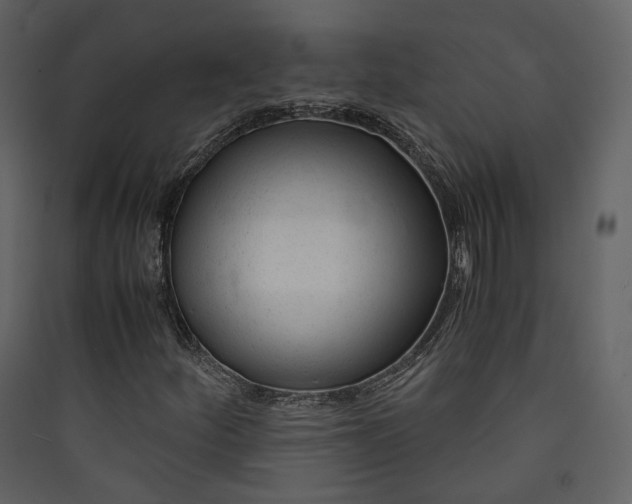 X0000089951252200707131508