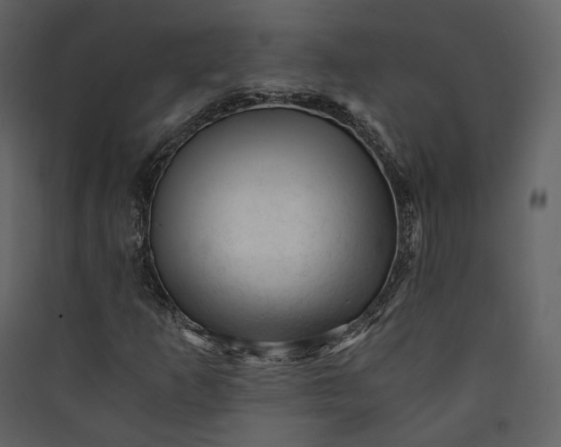 X0000089951253200707131508