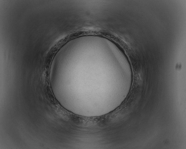 X0000089951254200707131508