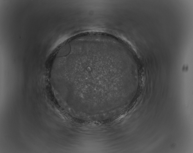 X0000089951255200707131508