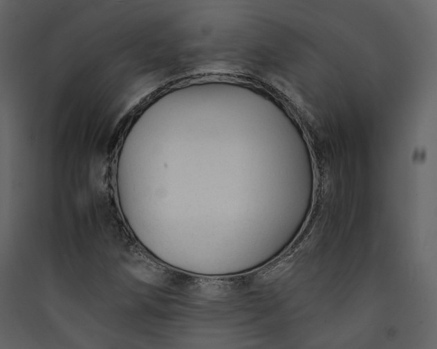 X0000089951258200707131508