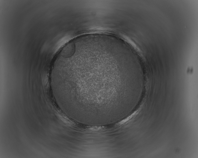 X0000089951259200707131508