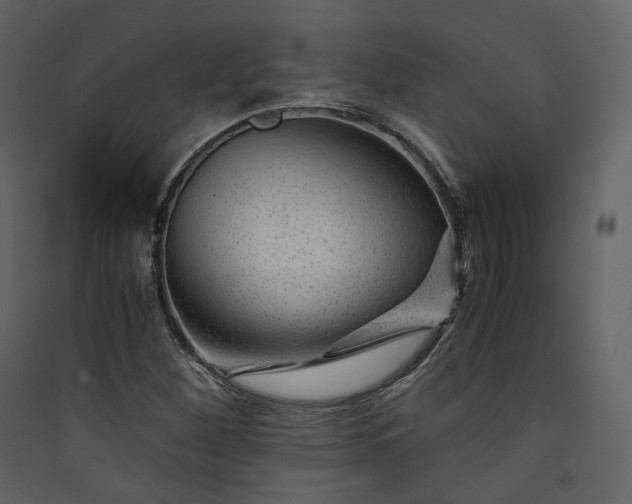 X0000089951260200707131508