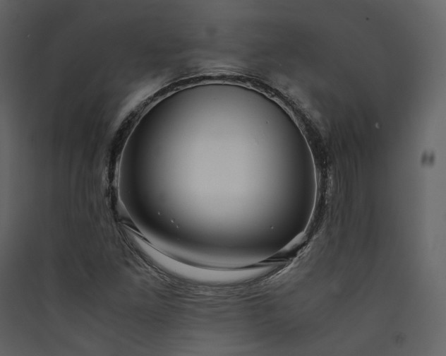 X0000089951261200707131508