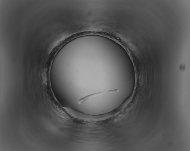 X0000089951262200707131508