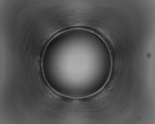 X0000089951265200707131508