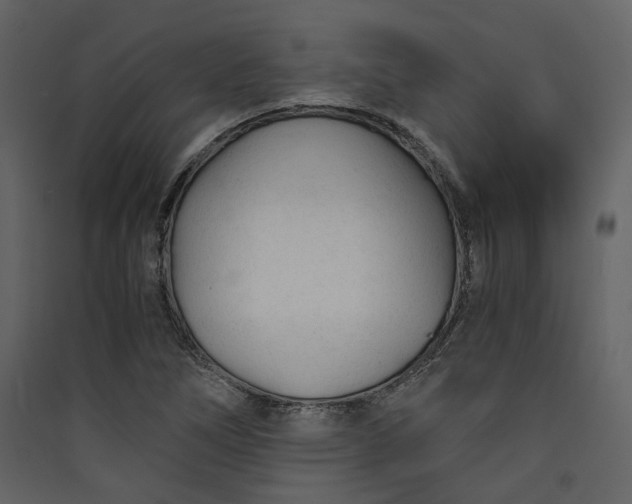 X0000089951266200707131508