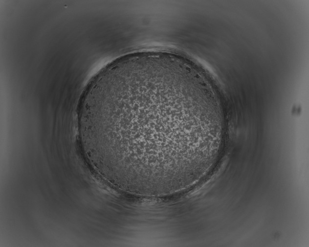 X0000089951267200707131508