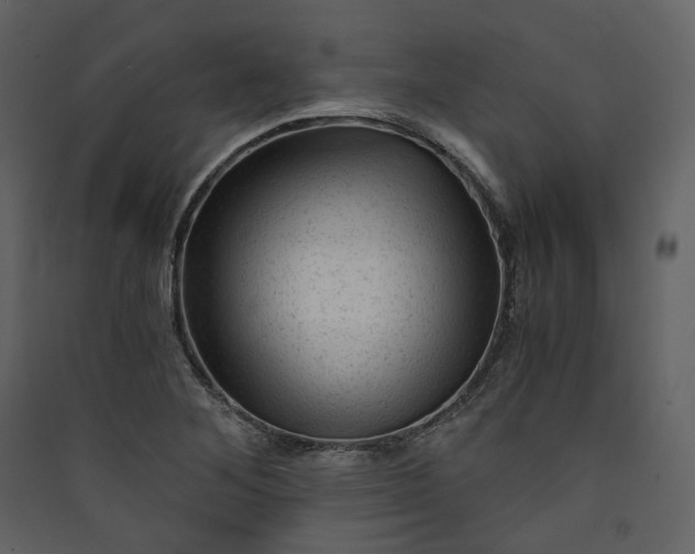 X0000089951268200707131508