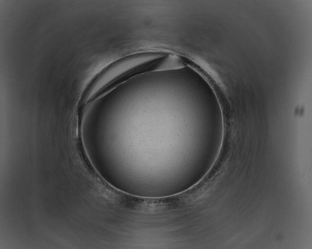 X0000089951269200707131508
