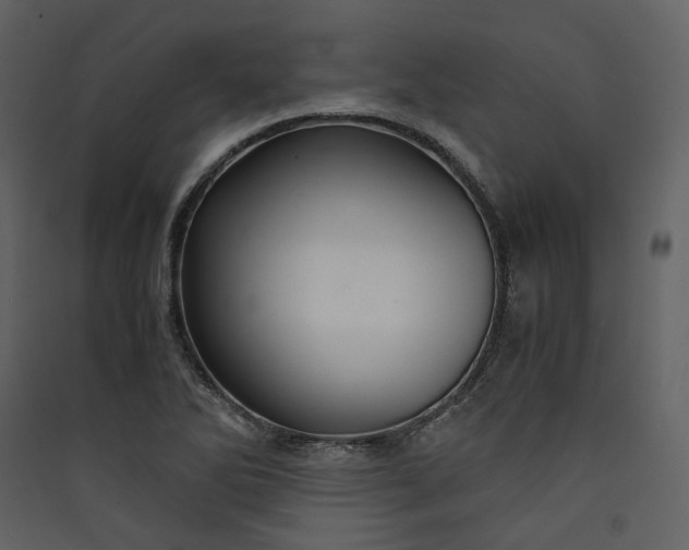 X0000089951270200707131508