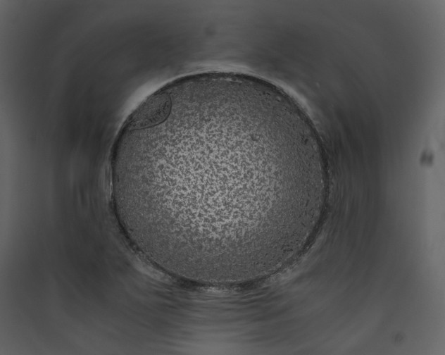 X0000089951271200707131508