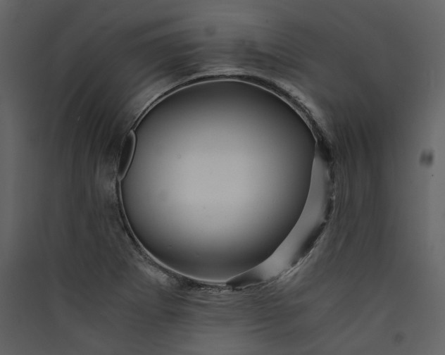 X0000089951273200707131508
