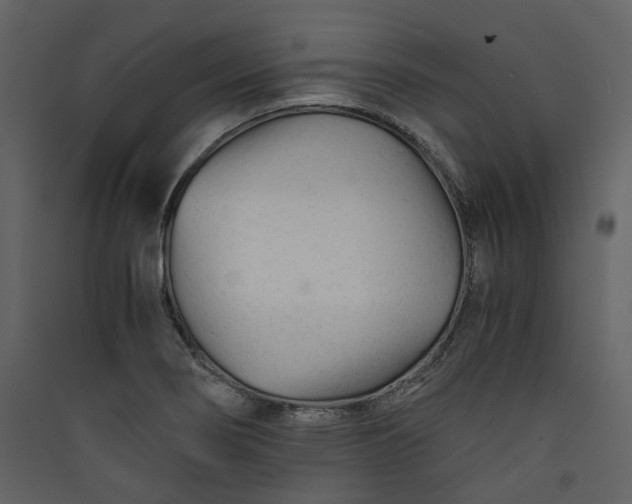 X0000089951274200707131508