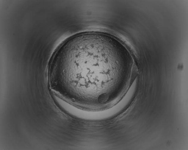 X0000089951275200707131508
