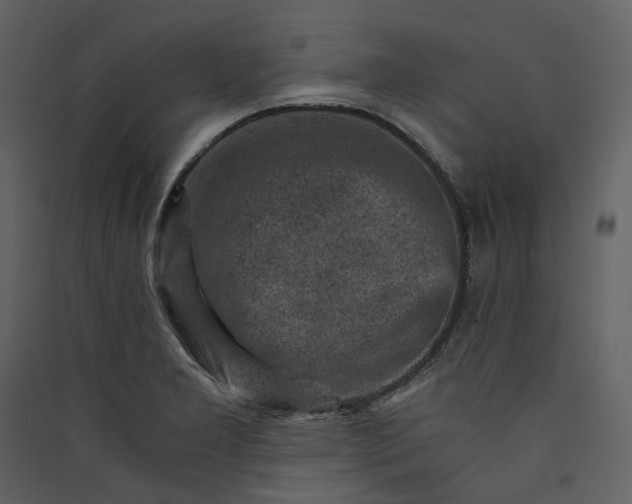 X0000089951277200707131508
