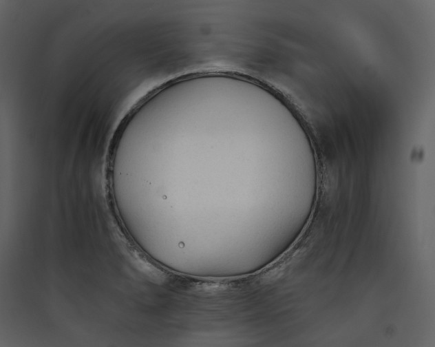 X0000089951278200707131508