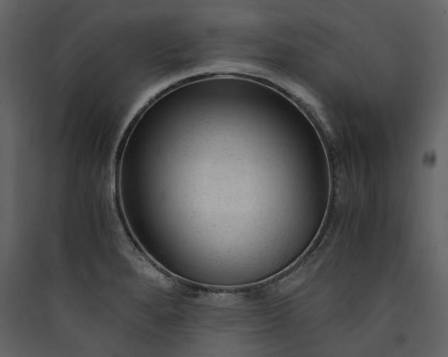 X0000089951280200707131508