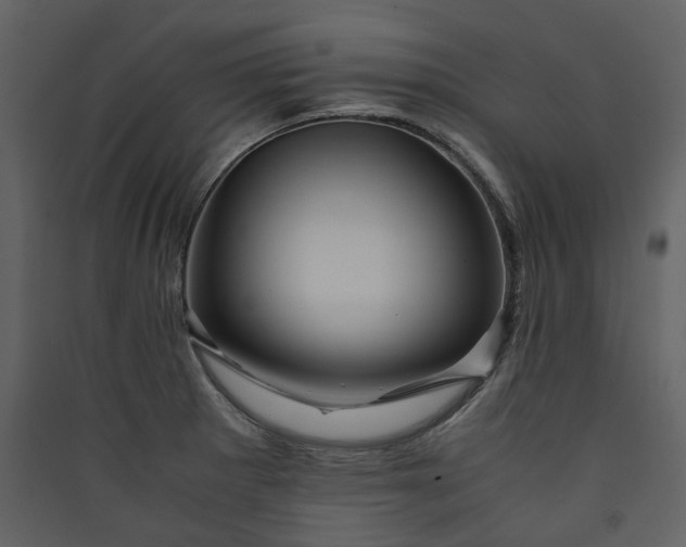 X0000089951281200707131508