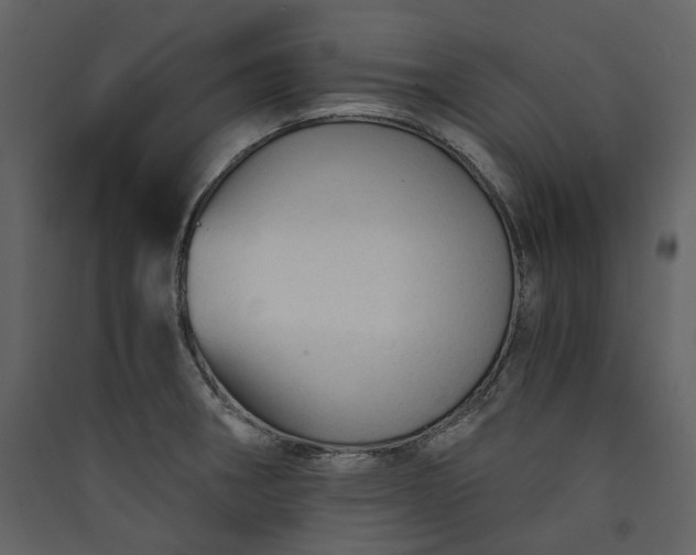 X0000089951282200707131508
