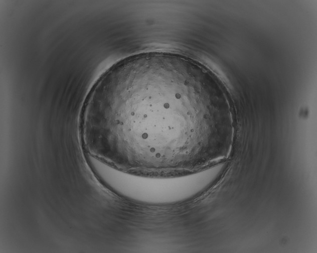 X0000089951283200707131508