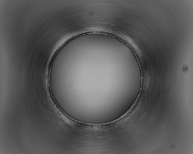X0000089951286200707131508