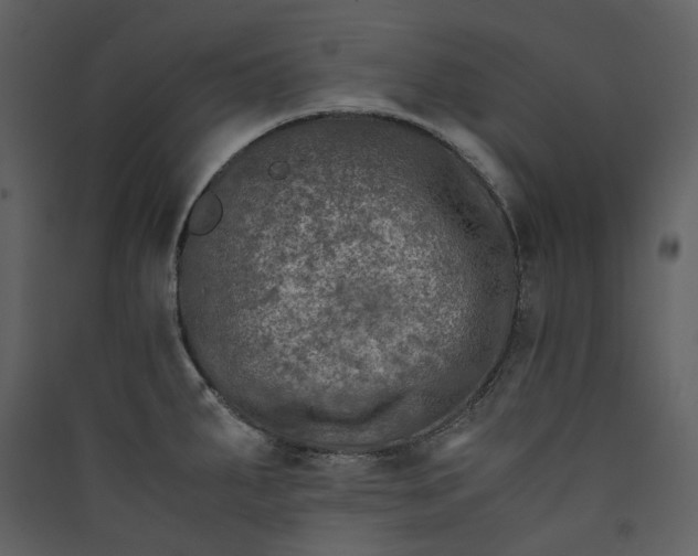 X0000089951287200707131508