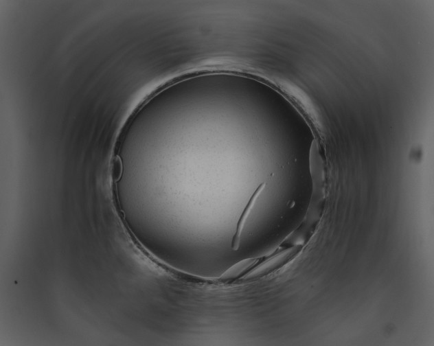X0000089951288200707131508