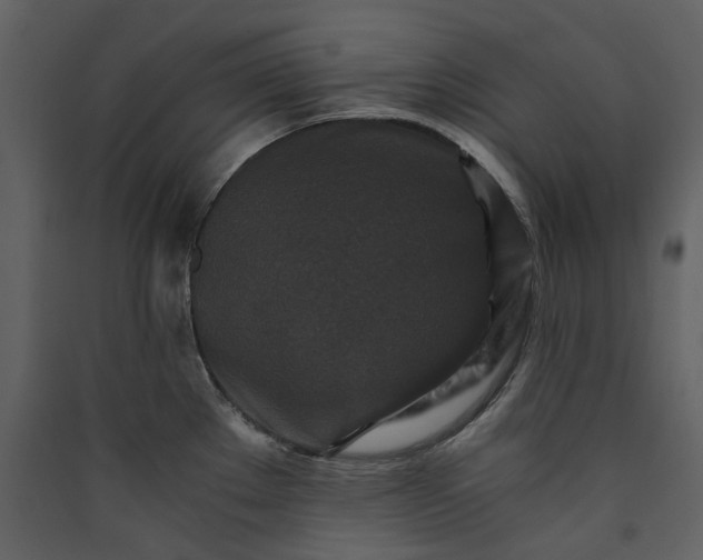 X0000089951289200707131508