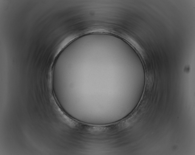 X0000089951290200707131508