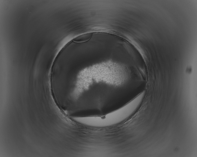 X0000089951291200707131508