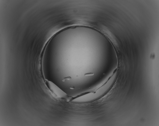 X0000089951292200707131508