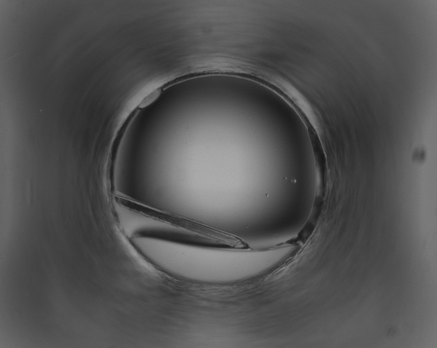 X0000089951293200707131508