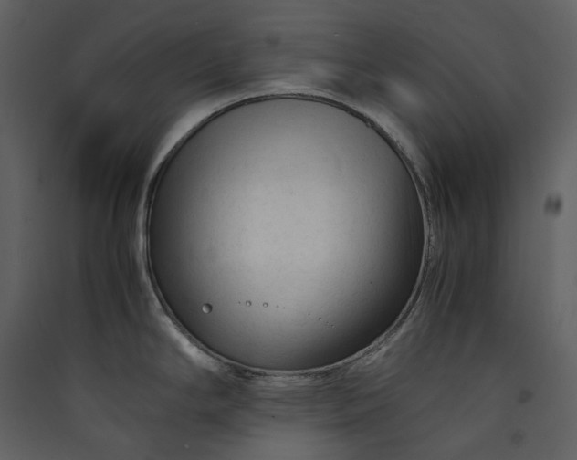 X0000089951294200707131508