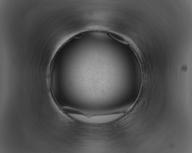X0000089951295200707131508