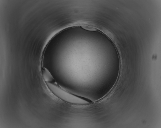 X0000089951296200707131508