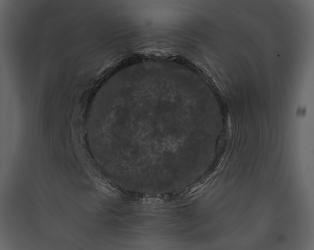 X0000089951297200707131507