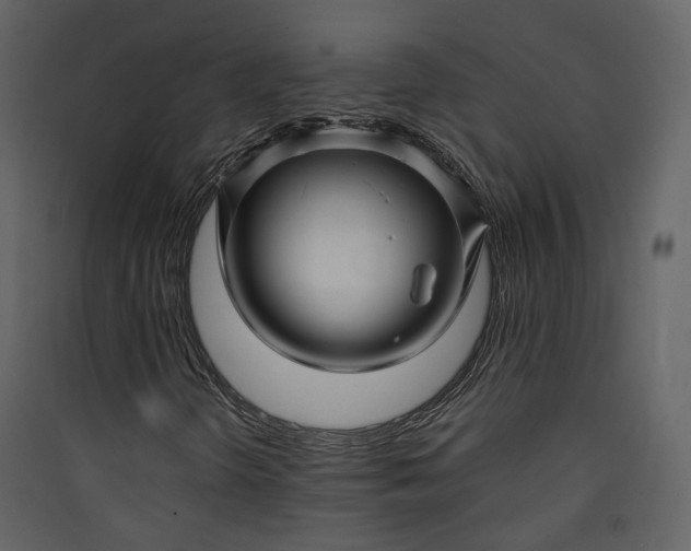 X0000089951298200707131507