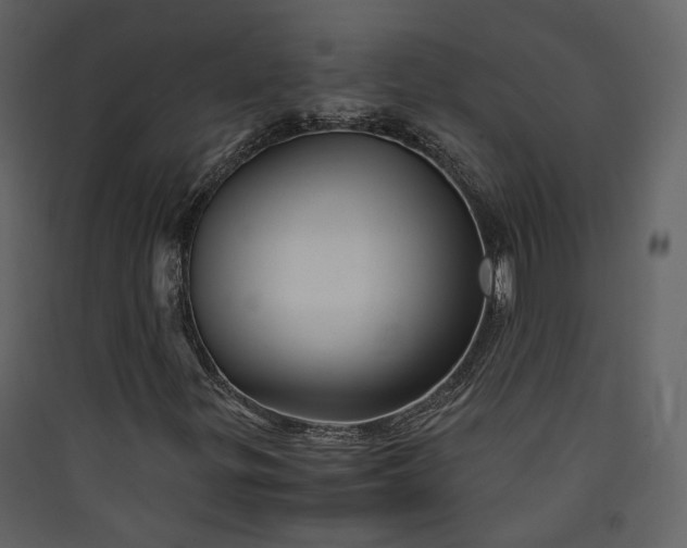 X0000089951299200707131507