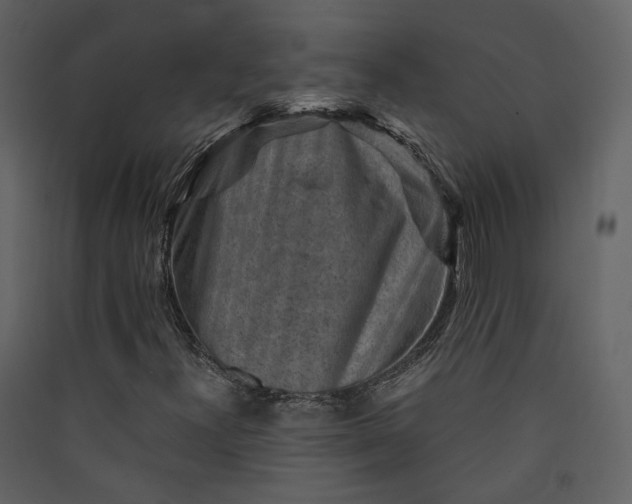 X0000089951300200707131507