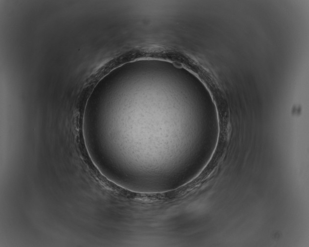 X0000089951301200707131507