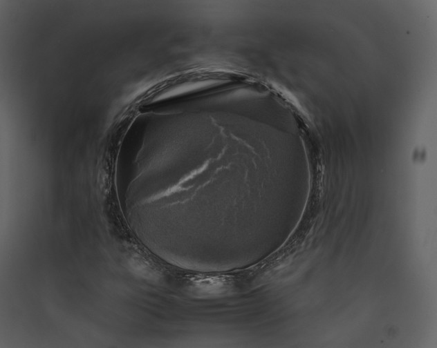 X0000089951303200707131507