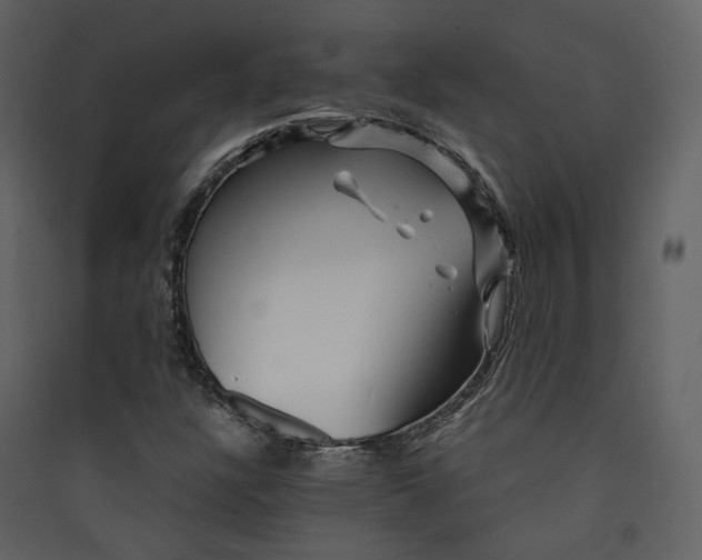 X0000089951304200707131507