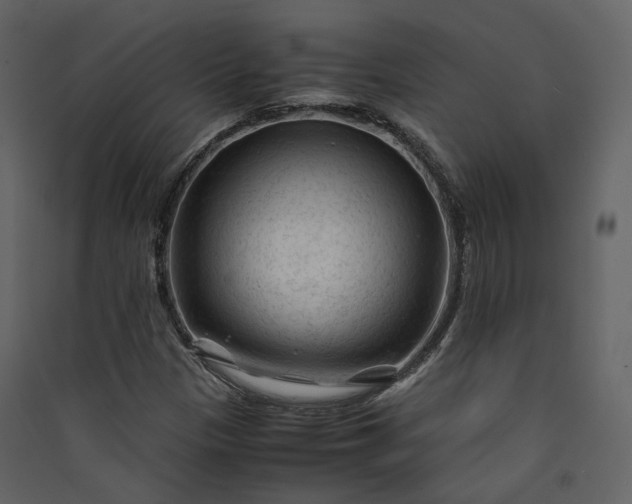 X0000089951305200707131507
