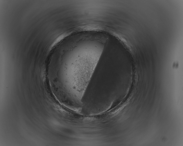 X0000089951306200707131507