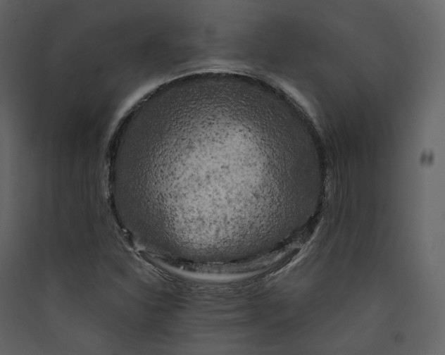 X0000089951310200707131507