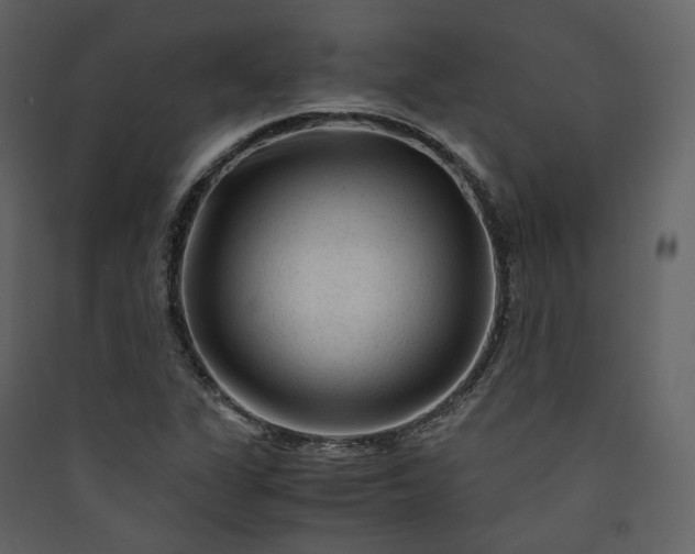 X0000089951311200707131507