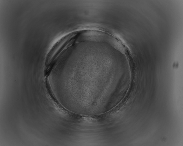 X0000089951312200707131507