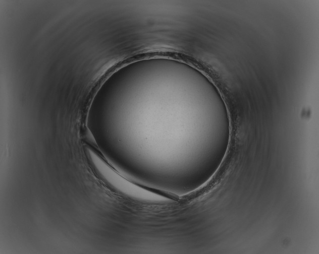 X0000089951313200707131507